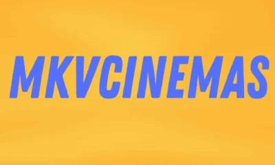 Discover The World Of Movies With Mkvcinemas.com