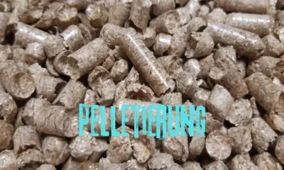 Everything You Need to Know About Pelletierung