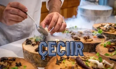 Everything You Need to Know About çecii