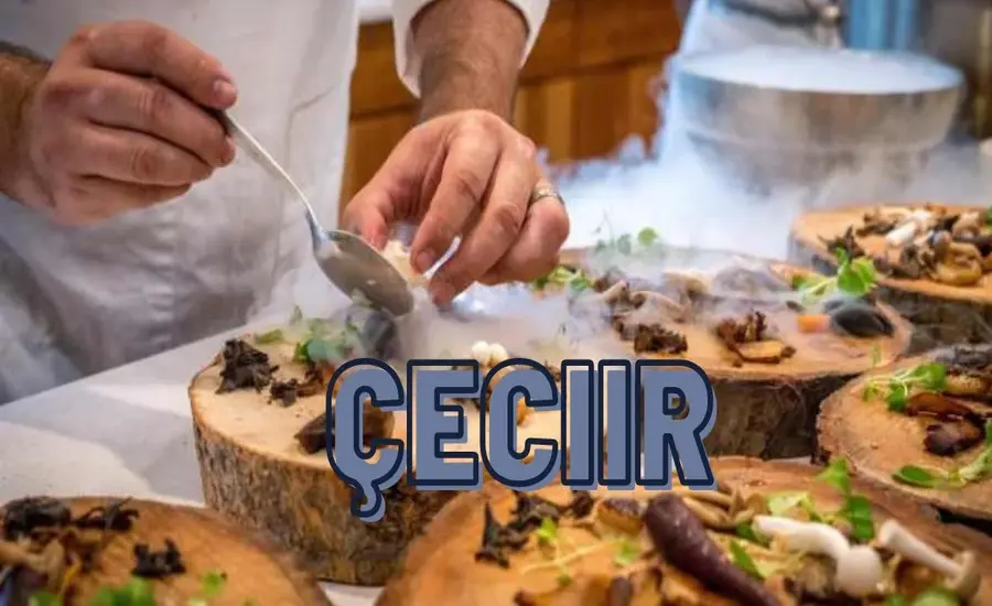 Everything You Need to Know About çecii