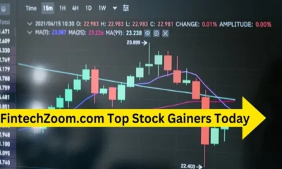 Fintechzoom.com Top Stock Gainers Today Analysis