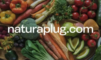 Naturaplug.com Your Source for Sustainable Solutions