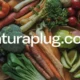 Naturaplug.com Your Source for Sustainable Solutions