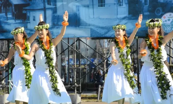 Halau in Statuettes A Question of Artistic Interpretation and Cultural Significance