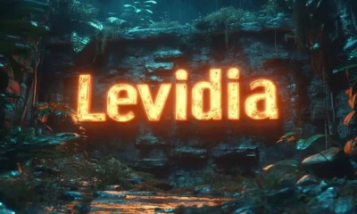 Levidia.ch Streaming Guide Features, Safety, and Legal Risks